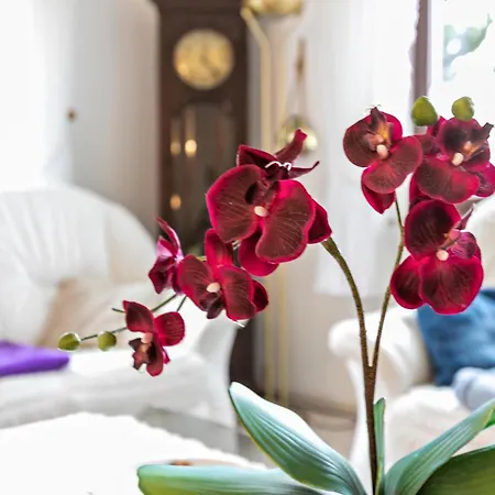 Lejlighed Haus Anita - Eg *