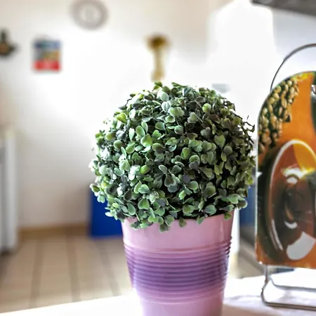 Haus Anita - Eg * Büsum